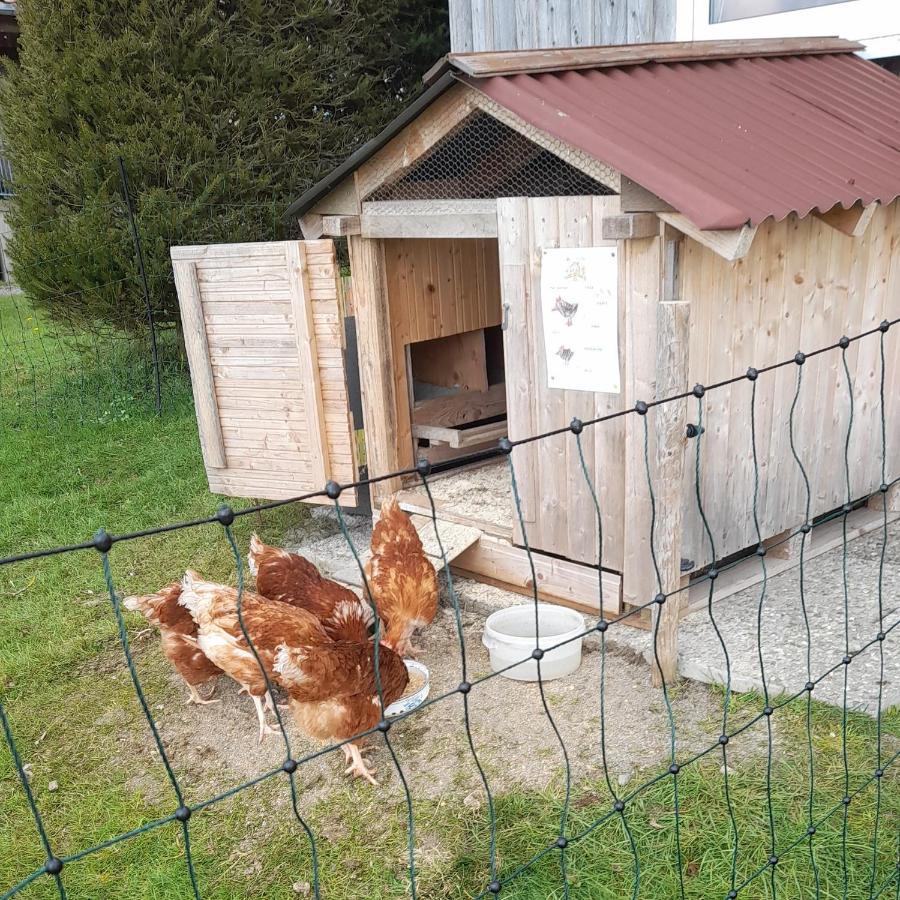 HeimenkirchAndreashof别墅 外观 照片